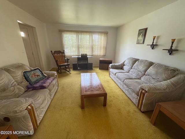 280 Mckinley Ave, Edison, NJ 08820 - living area with carpet floors