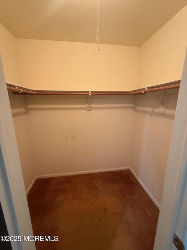 280 Mckinley Ave, Edison, NJ 08820 - spacious closet featuring carpet flooring
