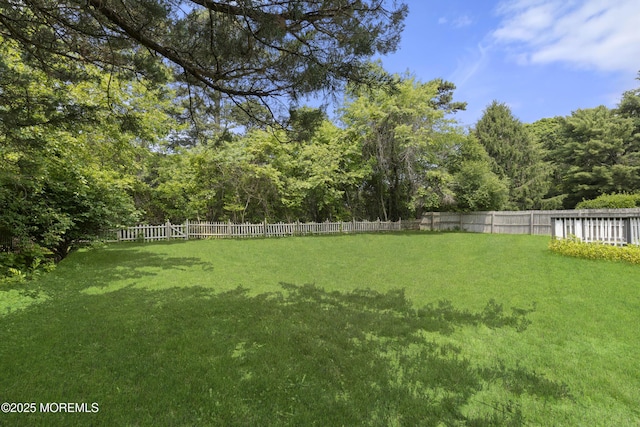 13 Pinehurst Dr, Little Egg Harbor, NJ 08087 - view of fenced backyard