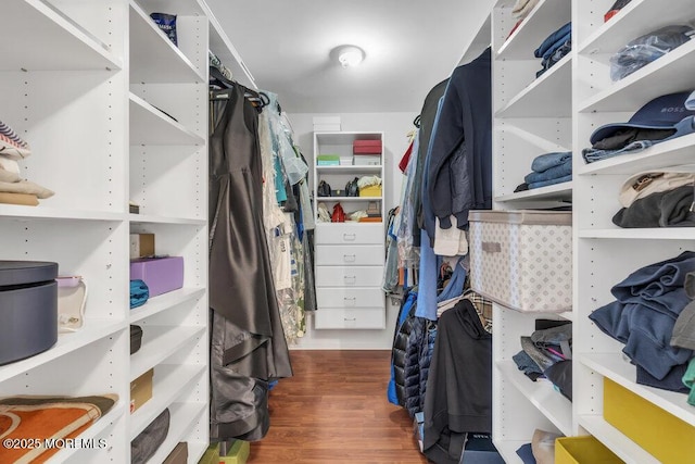 76 Deepwater Cir, Manalapan, NJ 07726 - spacious closet featuring wood finished floors