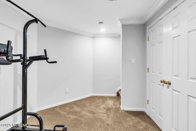 76 Deepwater Cir, Manalapan, NJ 07726 - workout room featuring ornamental molding and carpet