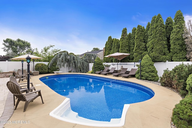 16 8th Ave, Monroe, NJ 08831 - view of pool featuring a patio area and a fenced backyard