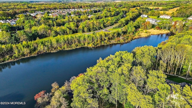 1 Lakeview Dr, Manalapan, NJ 07726 - photo 36