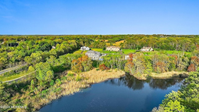 1 Lakeview Dr, Manalapan, NJ 07726 - photo 38