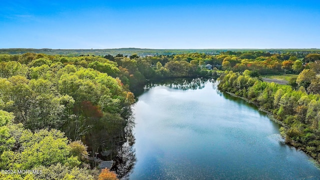 1 Lakeview Dr, Manalapan, NJ 07726 - photo 55