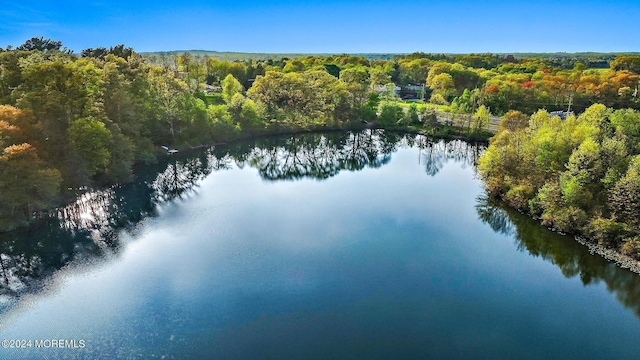 1 Lakeview Dr, Manalapan, NJ 07726 - photo 56