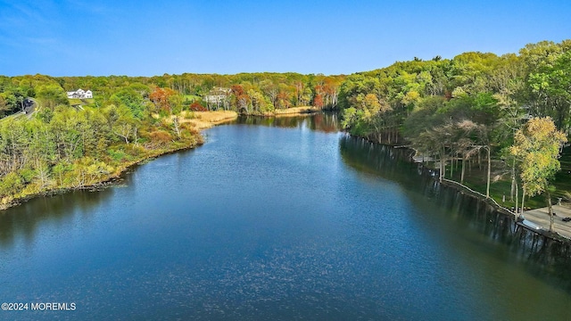 1 Lakeview Dr, Manalapan, NJ 07726 - photo 57