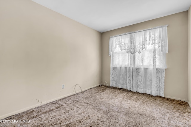 103 Hallberg Ave, Bergenfield, NJ 07621 - photo 27