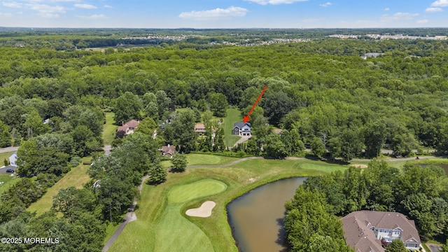 40 Daum Rd, Manalapan, NJ 07726 - photo 27