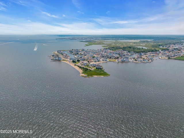 1240 Laurel Blvd, Lanoka Harbor, NJ 08734 - photo 63