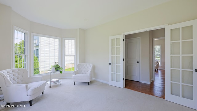18 Sage St, Holmdel, NJ 07733 - living area featuring french doors, healthy amount of natural light, and carpet floors