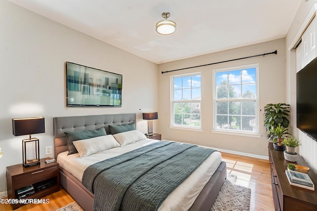 9 Mioduski Ct, Parlin, NJ 08859 - bedroom featuring light wood-style floors and a closet
