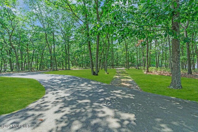 435 Basso St, Jackson, NJ 08527 - photo 7