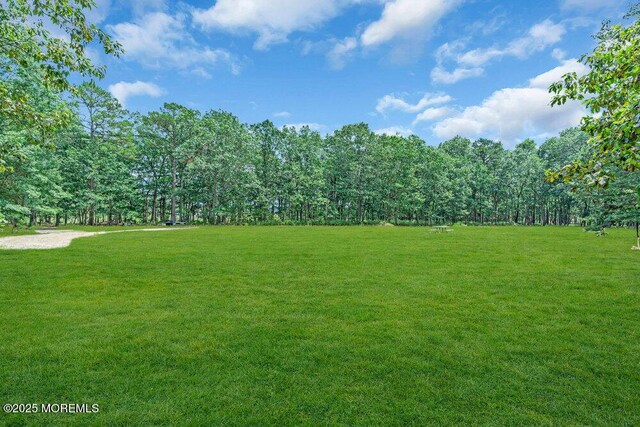 435 Basso St, Jackson, NJ 08527 - photo 46