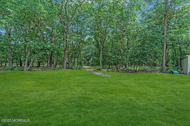 435 Basso St, Jackson, NJ 08527 - photo 48