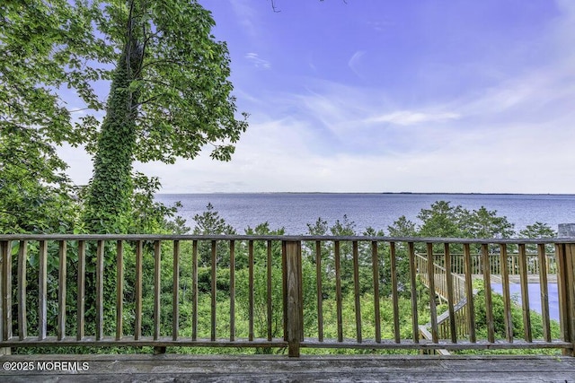 38 Bayside Dr, Atlantic Highlands, NJ 07716 - photo 21
