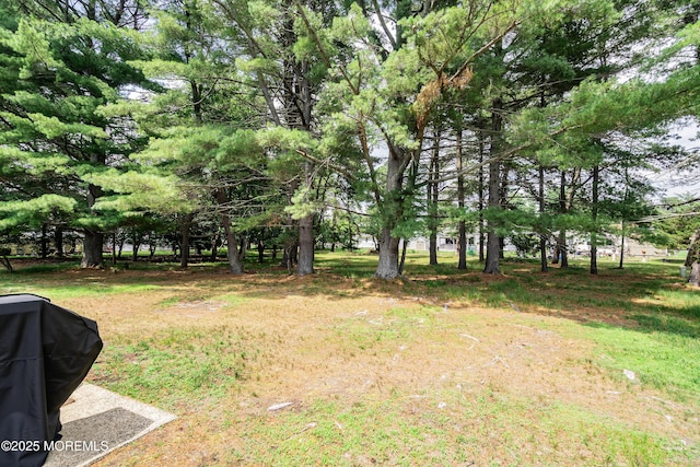 1086 Edgebrook Dr S, Toms River, NJ 08757 - view of yard
