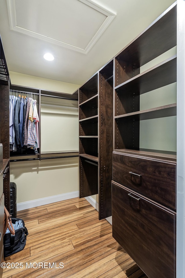 13 Jill Ct, Franklin Twp, NJ 08873 - walk in closet featuring light wood-type flooring and attic access