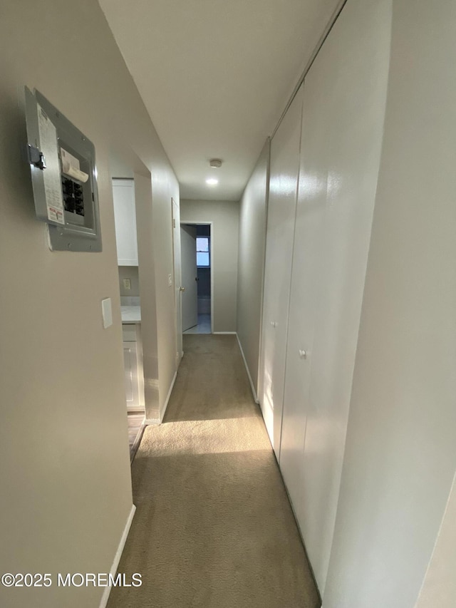 10 E Windsor Ter, Freehold, NJ 07728 - hall featuring light carpet and electric panel