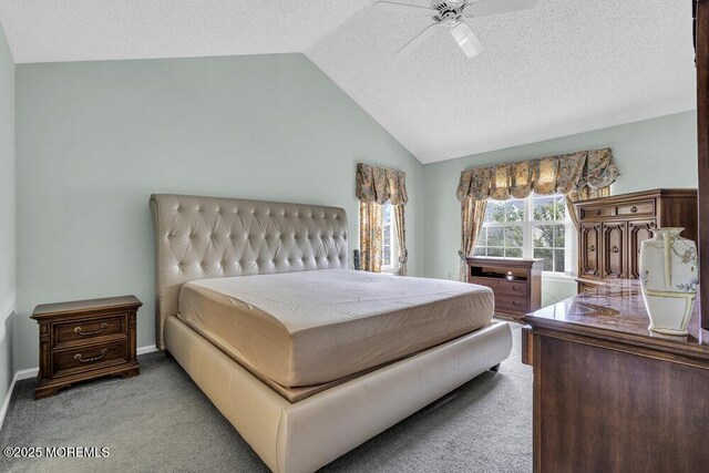106 Tarpon Dr, Sea Girt, NJ 08750 - carpeted bedroom with lofted ceiling, a textured ceiling, and a ceiling fan