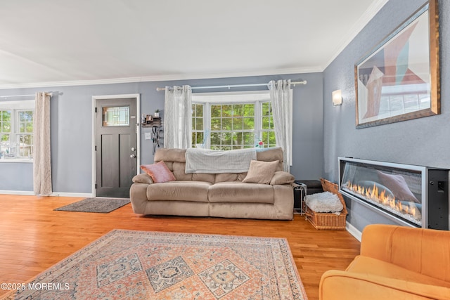 15 Park Blvd, Ocean Twp, NJ 07712 - living area with wood finished floors, ornamental molding, and a glass covered fireplace