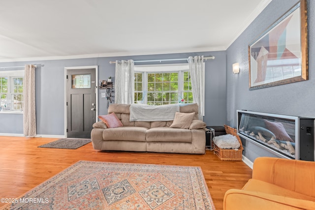 15 Park Blvd, Ocean Twp, NJ 07712 - living room featuring wood finished floors and ornamental molding