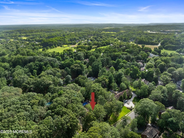 79 Cypress Neck Rd, Lincroft, NJ 07738 - aerial view of property's location with a heavily wooded area