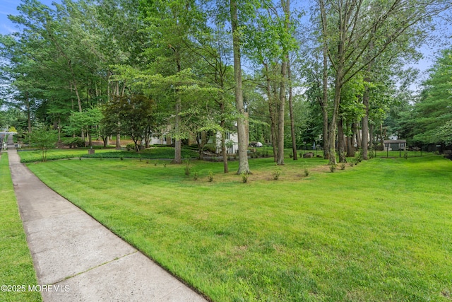 79 Cypress Neck Rd, Lincroft, NJ 07738 - view of green lawn
