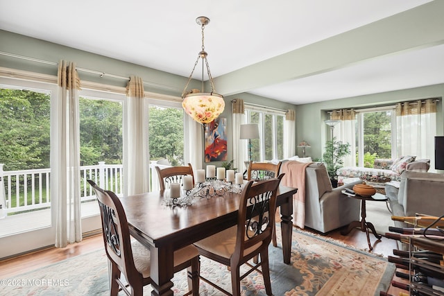 56 Violet Ct, Toms River, NJ 08753 - dining space with healthy amount of natural light and light wood finished floors