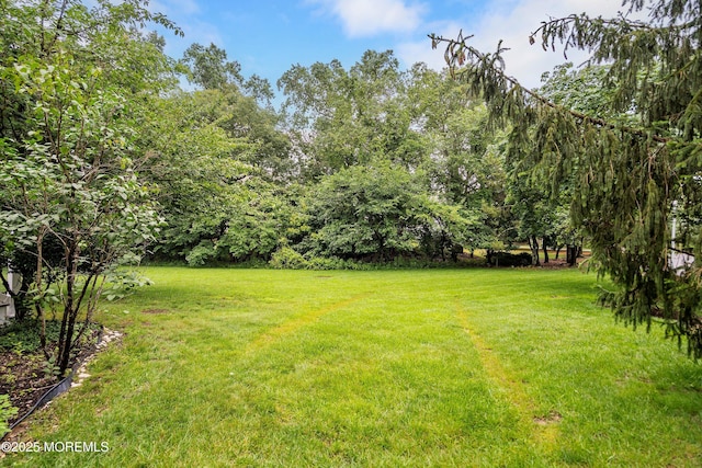 56 Violet Ct, Toms River, NJ 08753 - view of green lawn
