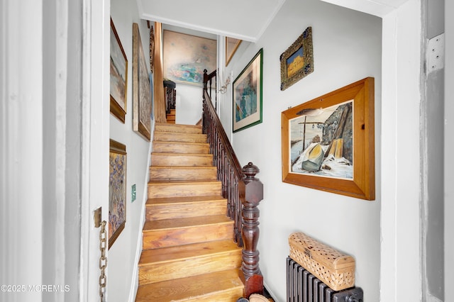 396 2nd Ave, Long Branch, NJ 07740 - staircase featuring radiator heating unit
