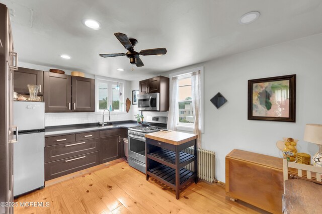396 2nd Ave, Long Branch, NJ 07740 - kitchen featuring appliances with stainless steel finishes, radiator, ceiling fan, dark brown cabinets, and light wood-type flooring