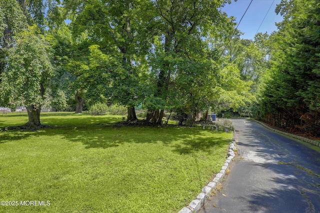 6 Surrey Ln, Ocean Twp, NJ 07712 - photo 58