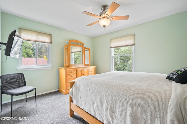 11 Hazelwood Ct, Howell, NJ 07731 - bedroom with multiple windows, carpet flooring, and ceiling fan
