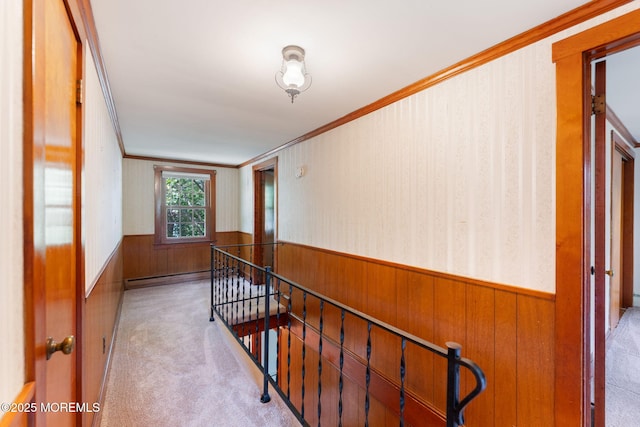 20 Vredenburgh Ave, Freehold, NJ 07728 - photo 10