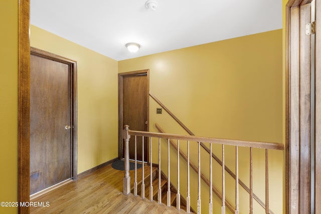 444 Pfister Rd, Jackson, NJ 08527 - hallway with an upstairs landing and wood finished floors