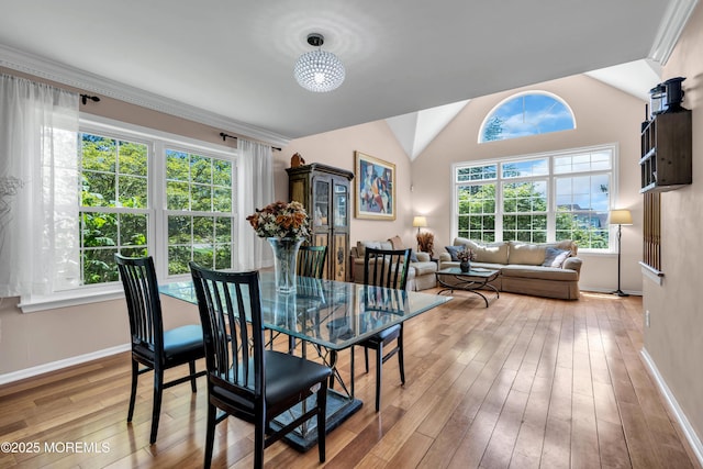16 Arrowhead Way, Millstone, NJ 08535 - dining room featuring hardwood / wood-style floors, healthy amount of natural light, and lofted ceiling
