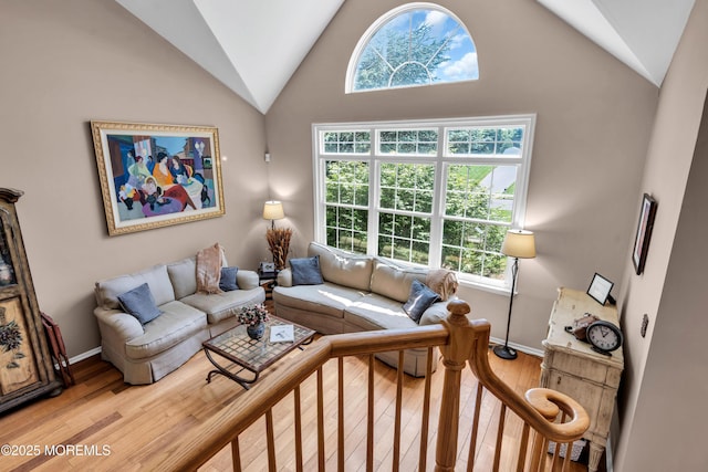 16 Arrowhead Way, Millstone, NJ 08535 - living area with vaulted ceiling and wood-type flooring