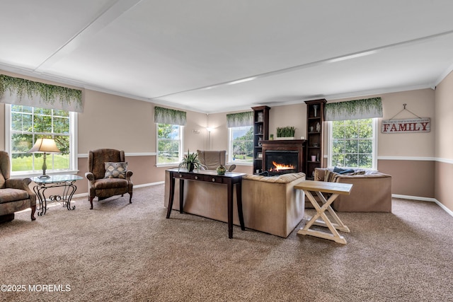 16 Arrowhead Way, Millstone, NJ 08535 - living room with a glass covered fireplace, ornamental molding, and carpet flooring