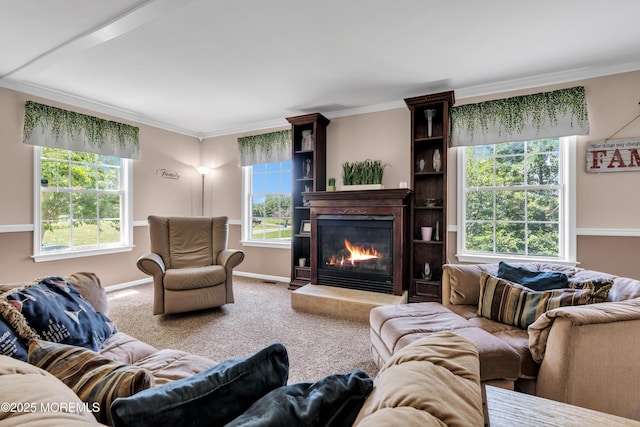 16 Arrowhead Way, Millstone, NJ 08535 - living room with a glass covered fireplace, healthy amount of natural light, crown molding, and carpet