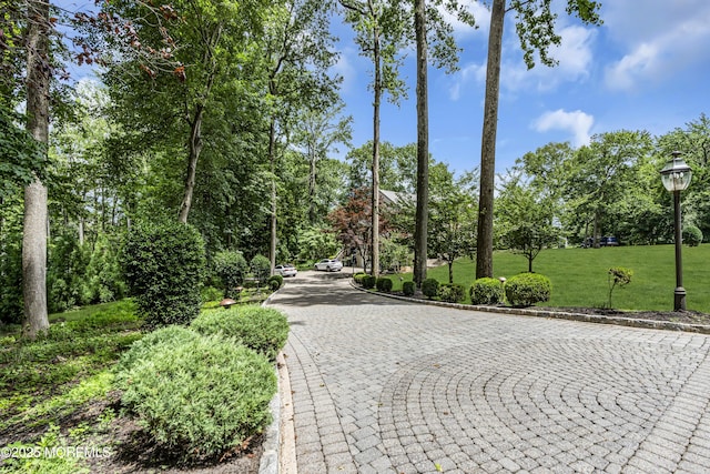 2 Shady Oak Ct, Millstone, NJ 08535 - view of property's community with a lawn and view of scattered trees