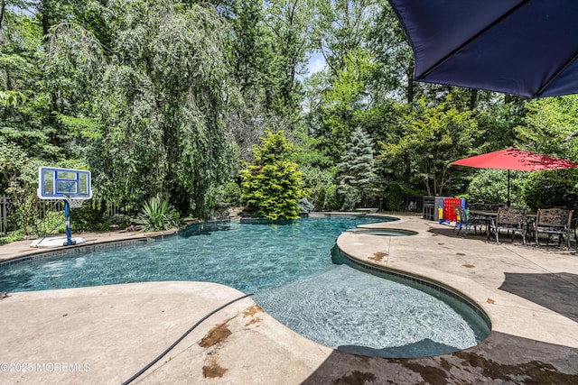 2 Shady Oak Ct, Millstone, NJ 08535 - swimming pool with a patio
