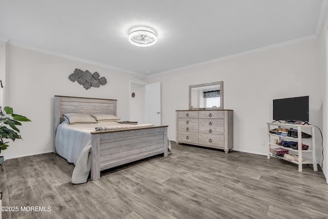6 Rabbit Ct, Whiting, NJ 08759 - photo 26