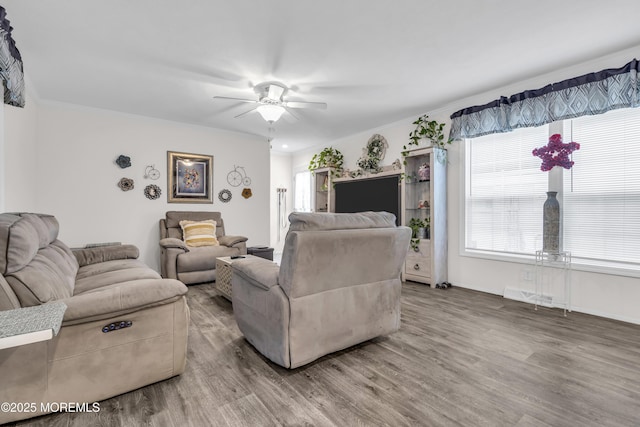 6 Rabbit Ct, Whiting, NJ 08759 - photo 17