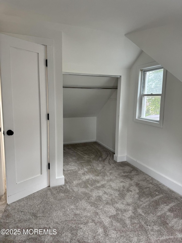 17 Mayfair Ct, Brick, NJ 08723 - bonus room with carpet flooring and lofted ceiling