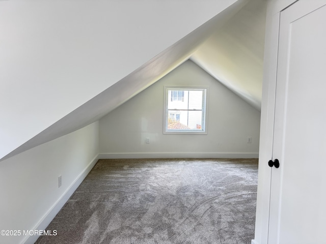 17 Mayfair Ct, Brick, NJ 08723 - bonus room with carpet floors and vaulted ceiling