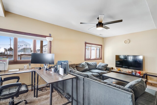 119 S Captains Dr, Little Egg Harbor, NJ 08087 - photo 25