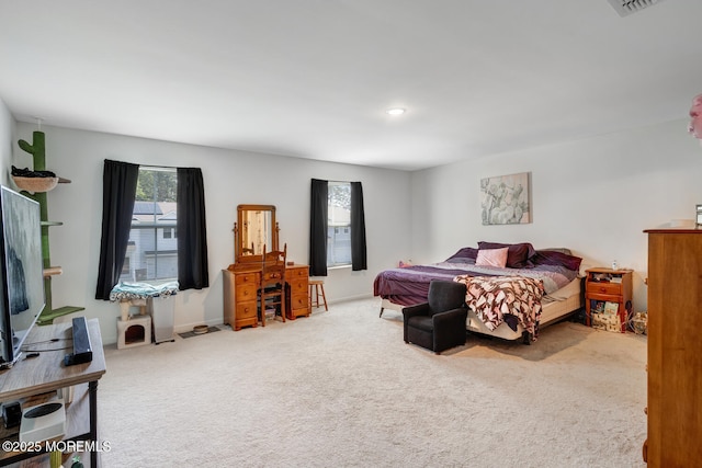 107 Sandpiper Ln, Little Egg Harbor, NJ 08087 - bedroom featuring carpet flooring