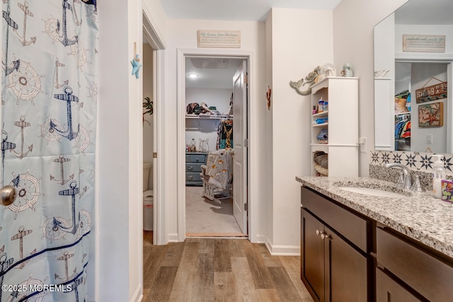 107 Sandpiper Ln, Little Egg Harbor, NJ 08087 - bathroom featuring wood finished floors, vanity, and a walk in closet