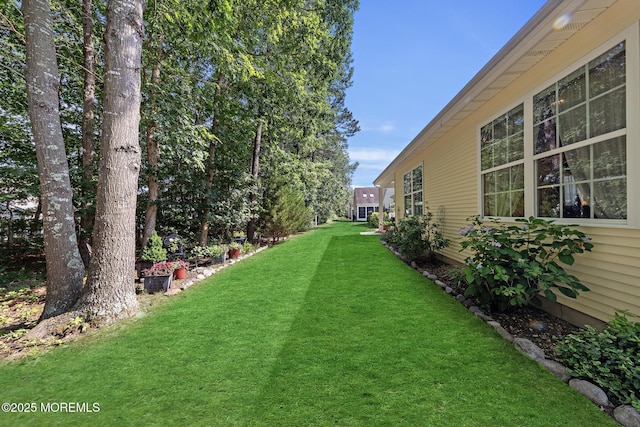 45 Marigold Ln, Little Egg Harbor, NJ 08087 - view of green lawn